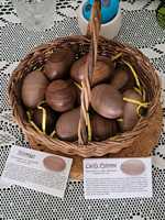 Spalded Maple Easter Eggs